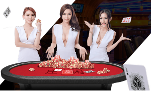 Software de Casino en Vivo