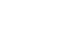 mr green sports logo
