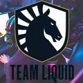 team liquid